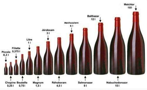 影响葡萄酒陈年的因素
