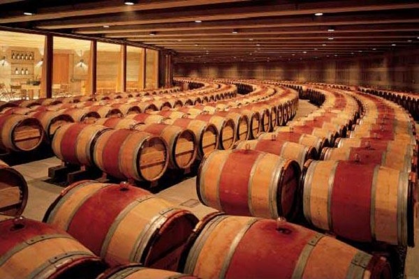 葡萄酒厂家的酒窖也是这样的！