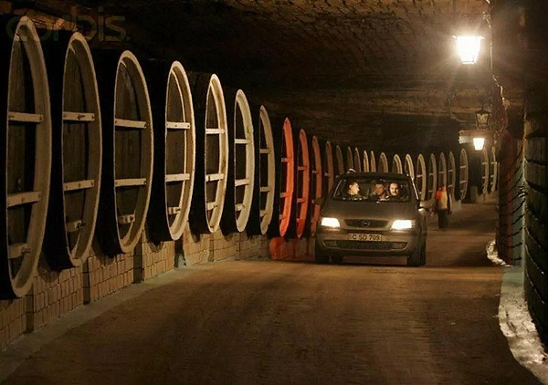 一座隧洞里的酒窖